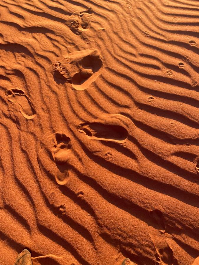 Wadi Rum Silk Road Camp Bagian luar foto