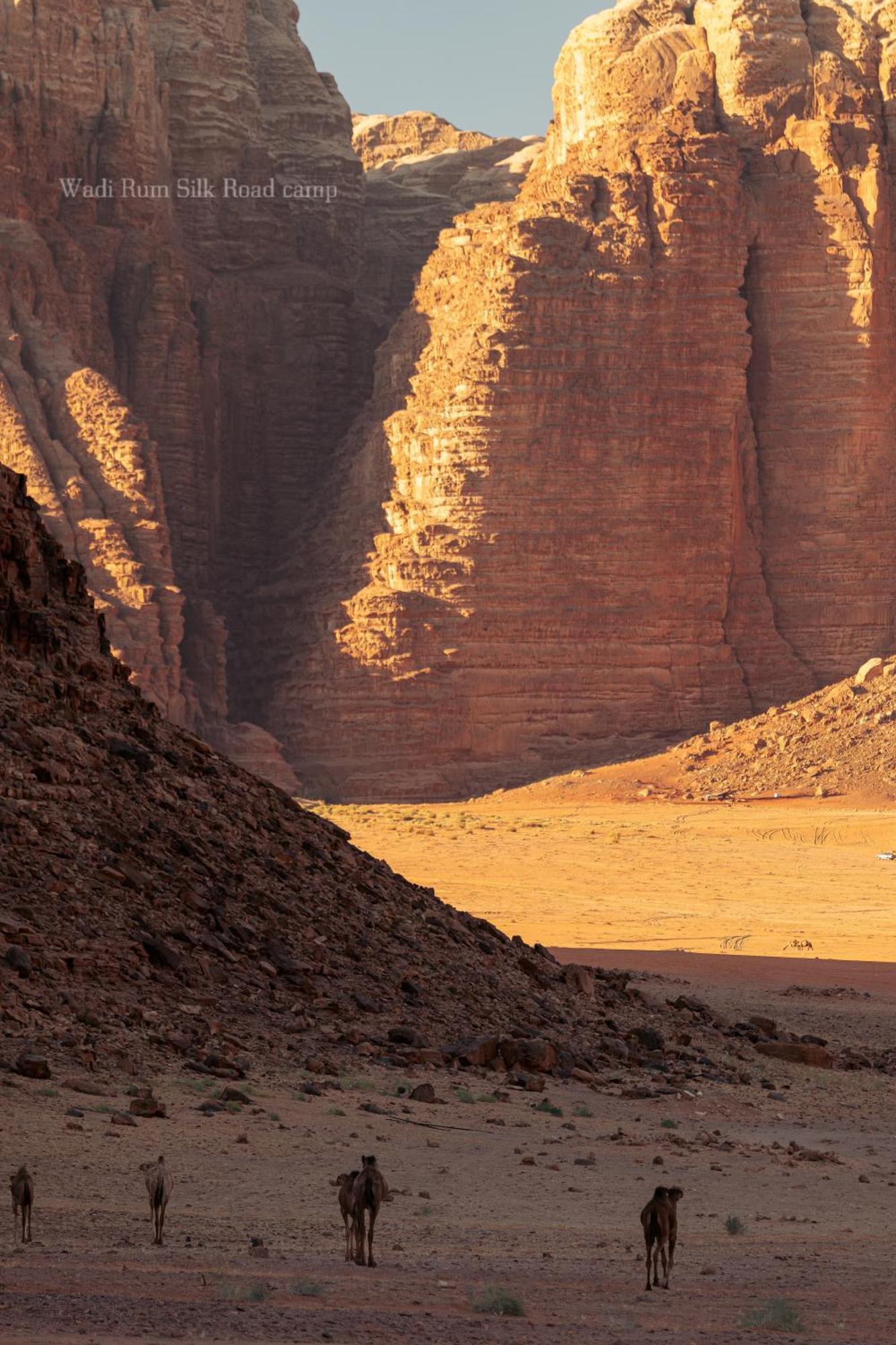 Wadi Rum Silk Road Camp Bagian luar foto