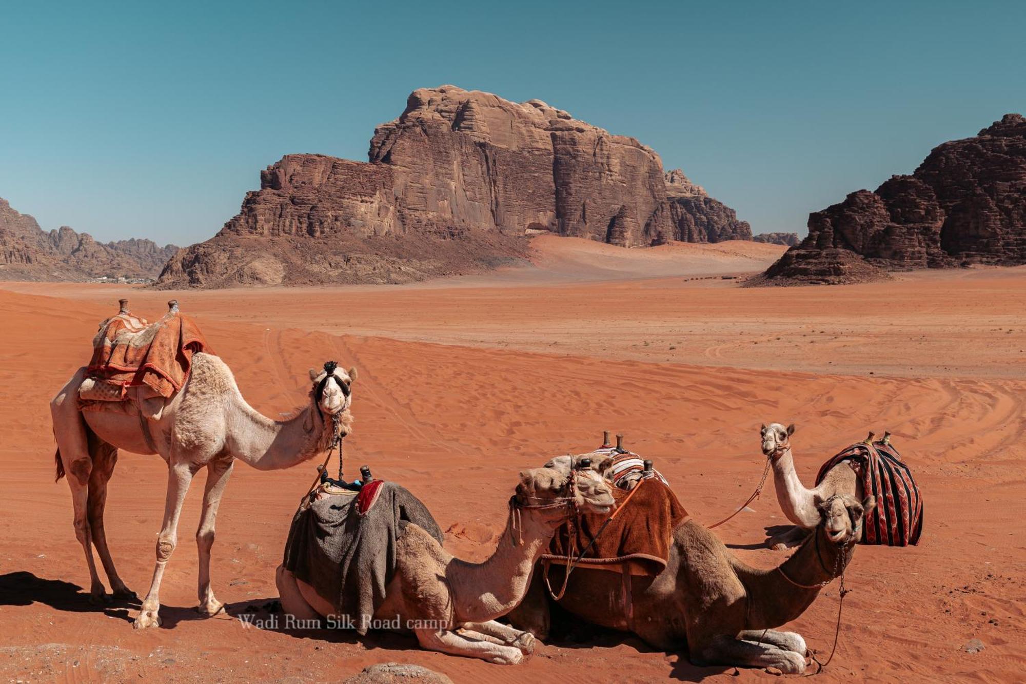Wadi Rum Silk Road Camp Bagian luar foto