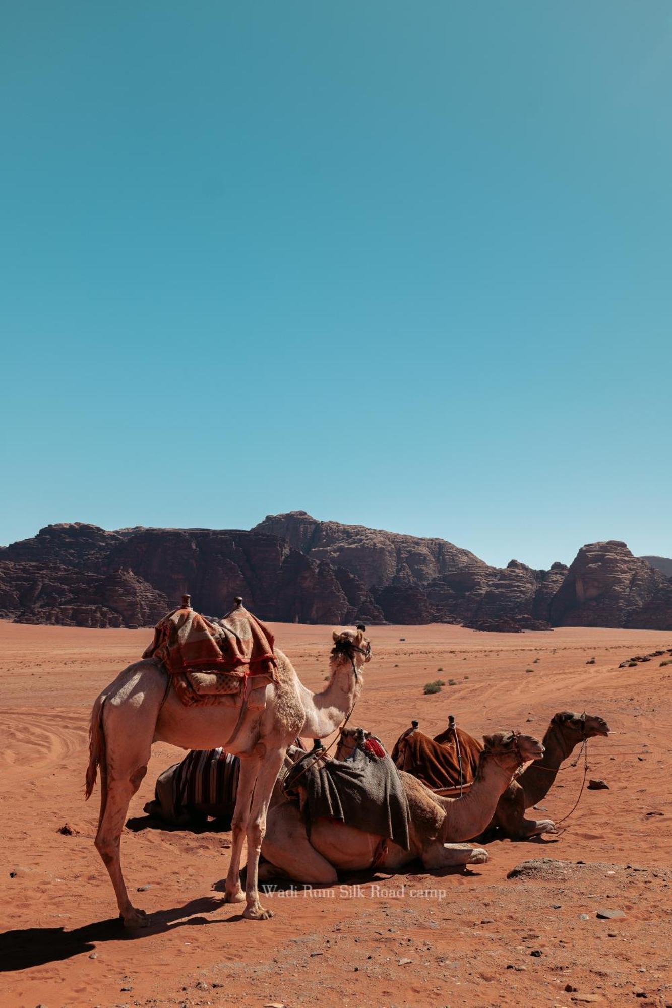 Wadi Rum Silk Road Camp Bagian luar foto